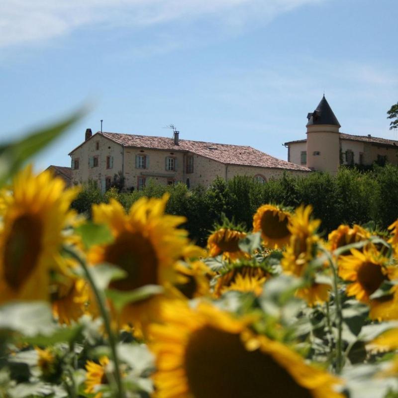 Domaine D'En Naudet Bed & Breakfast Teyssode Eksteriør bilde