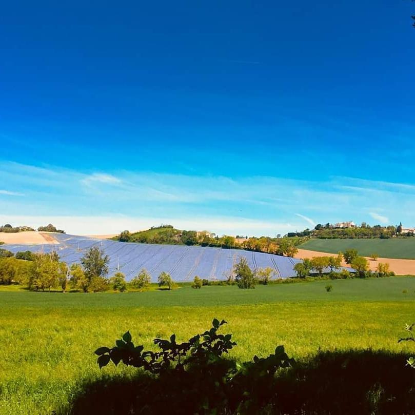 Domaine D'En Naudet Bed & Breakfast Teyssode Eksteriør bilde